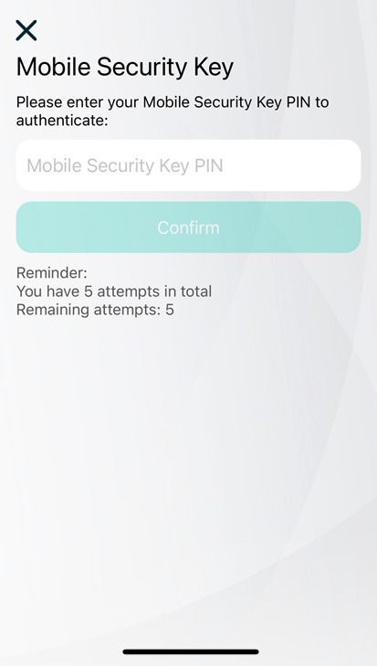 Step 2: Input Mobile Security Key 
Password PIN Screenshot